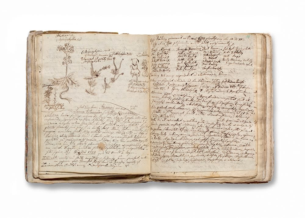 LENA GRANEFELT, Manuscripta Medica, 2023