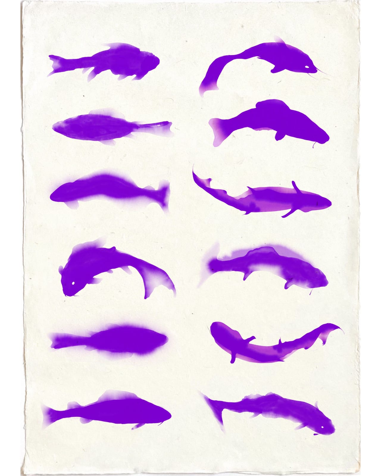 FREDRIK WRETMAN, Violett fish, 2022