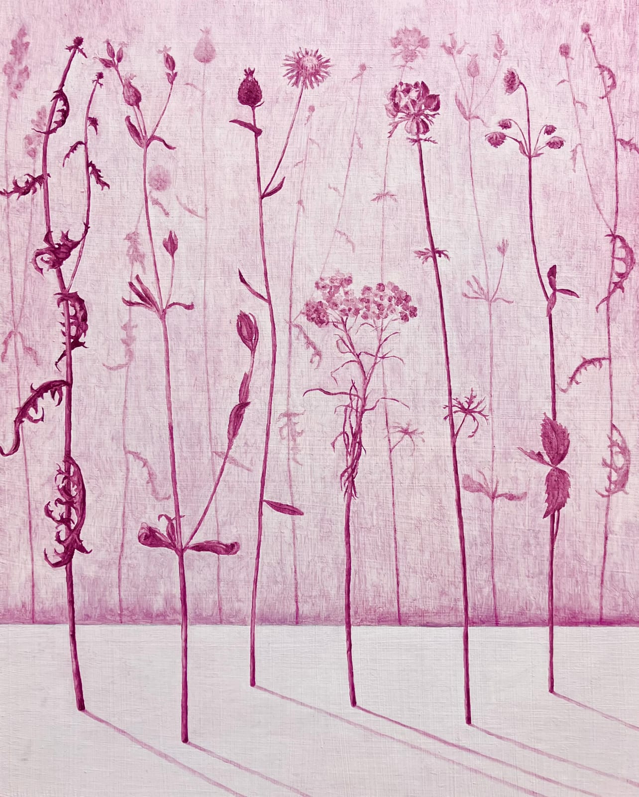 MARIA HALL, Beröringens rodnad – Flora I, 2023