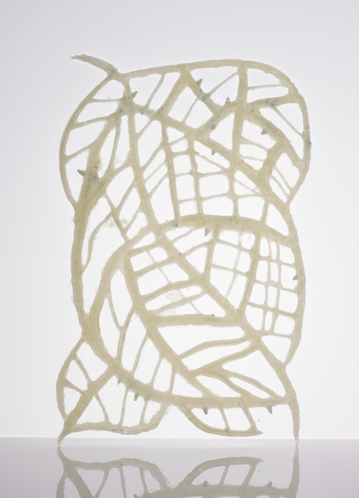 Kira Phoenix K´inan, Ice Drawing, I, 2017