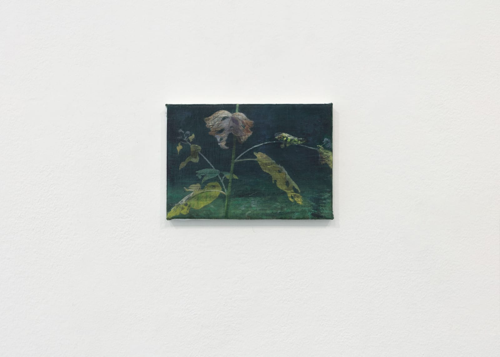 Tommy Hilding, Burdock, 2025