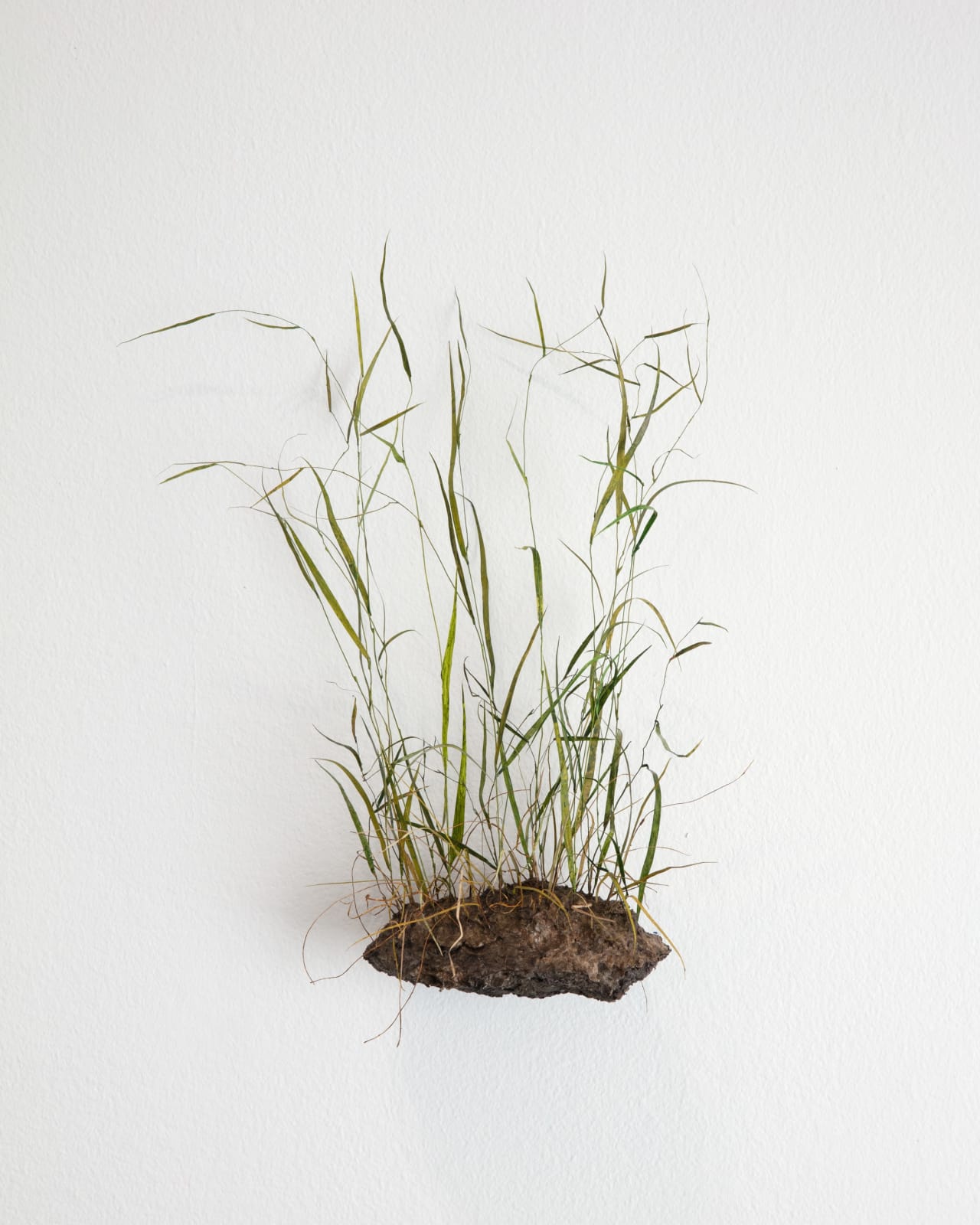 Johanna Karlsson, Tuva / Tuft, 2025