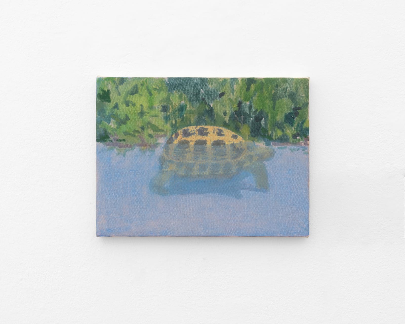 Alejandro Sintura, Tortuga Semihundida / Turtle Half Below Water, 2024