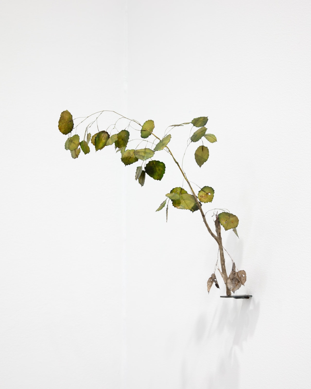 Johanna Karlsson, Kvist IV / Twig IV, 2025