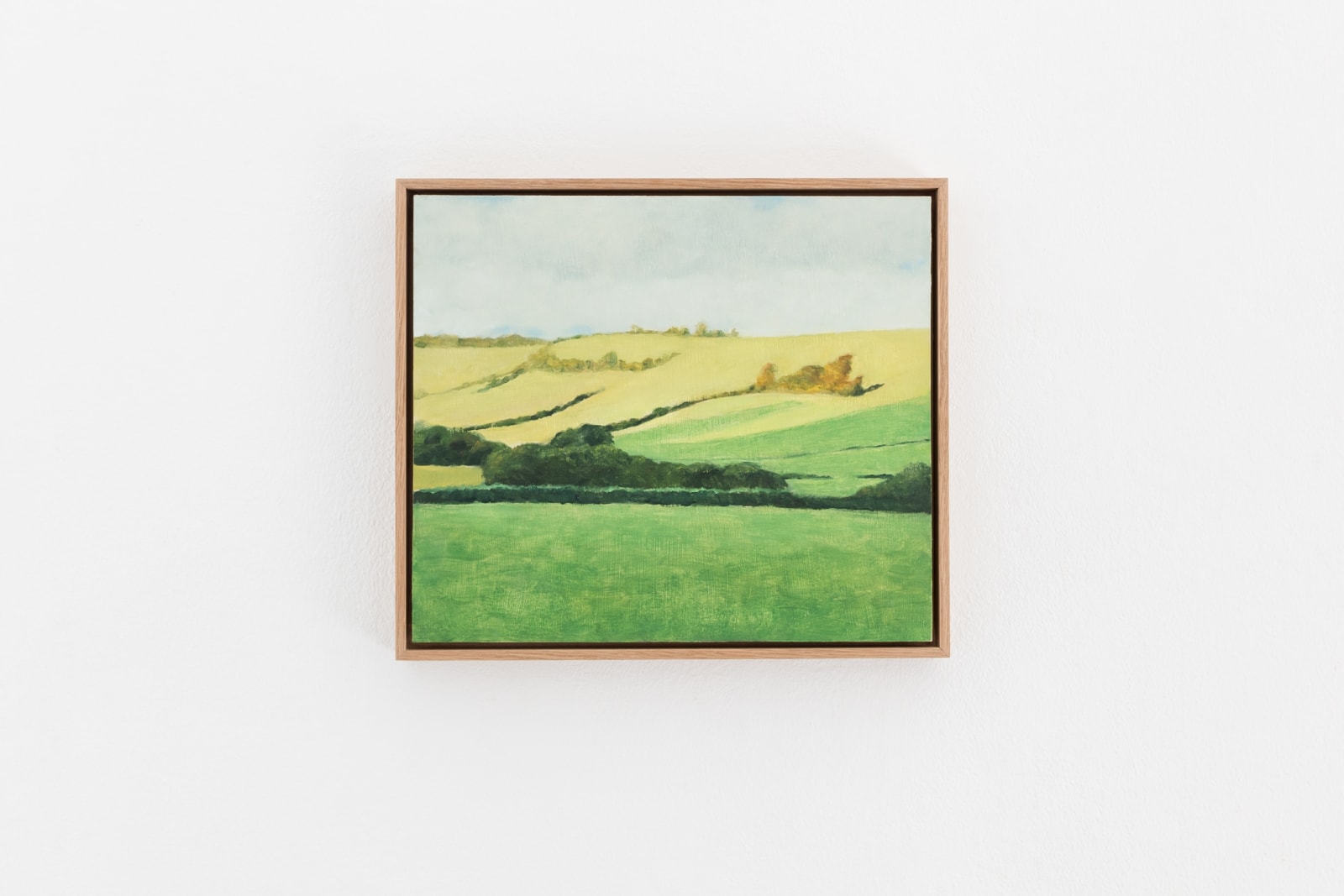 Jess Allen, Morning Light, 2020