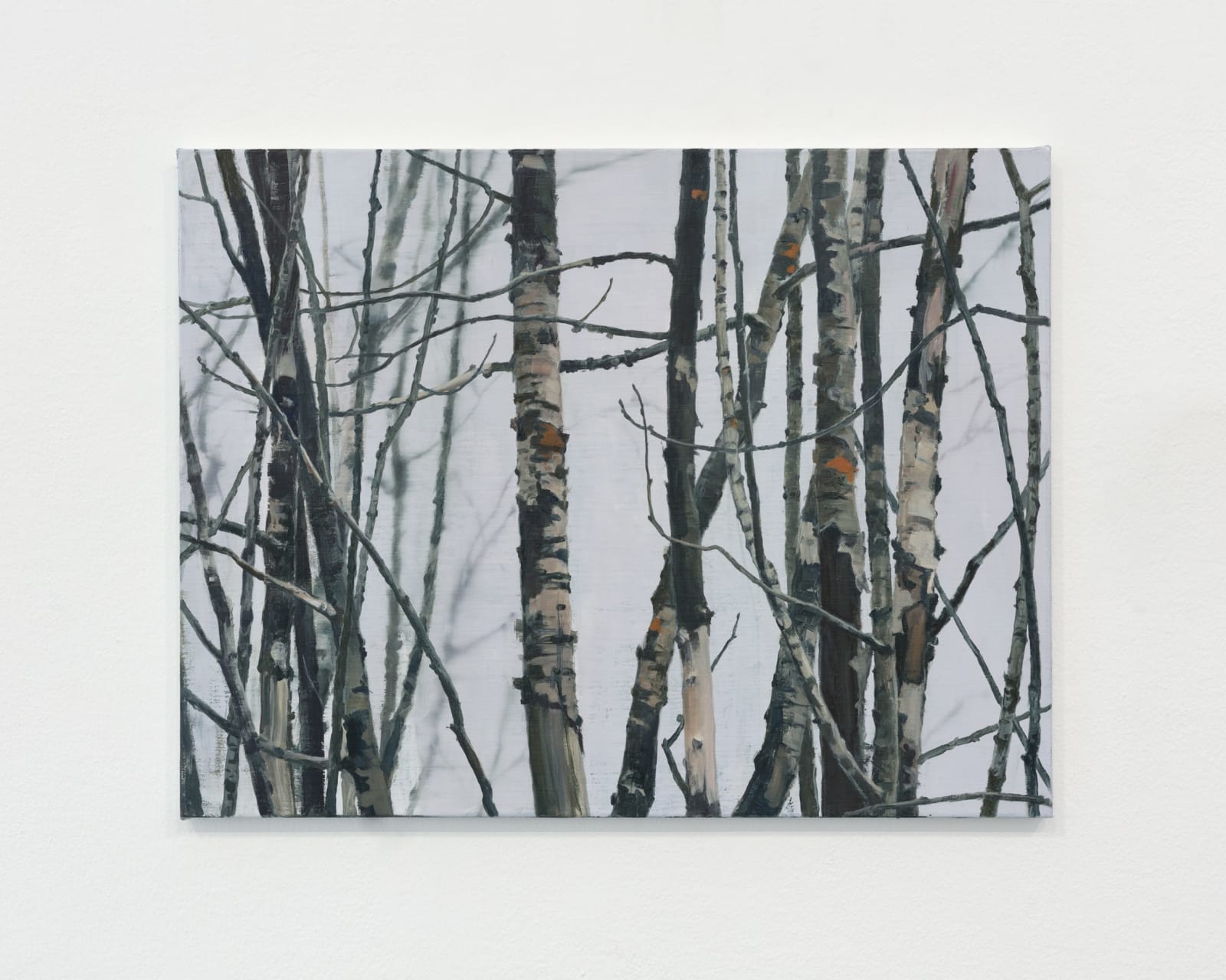 Tommy Hilding, Palisade, 2025