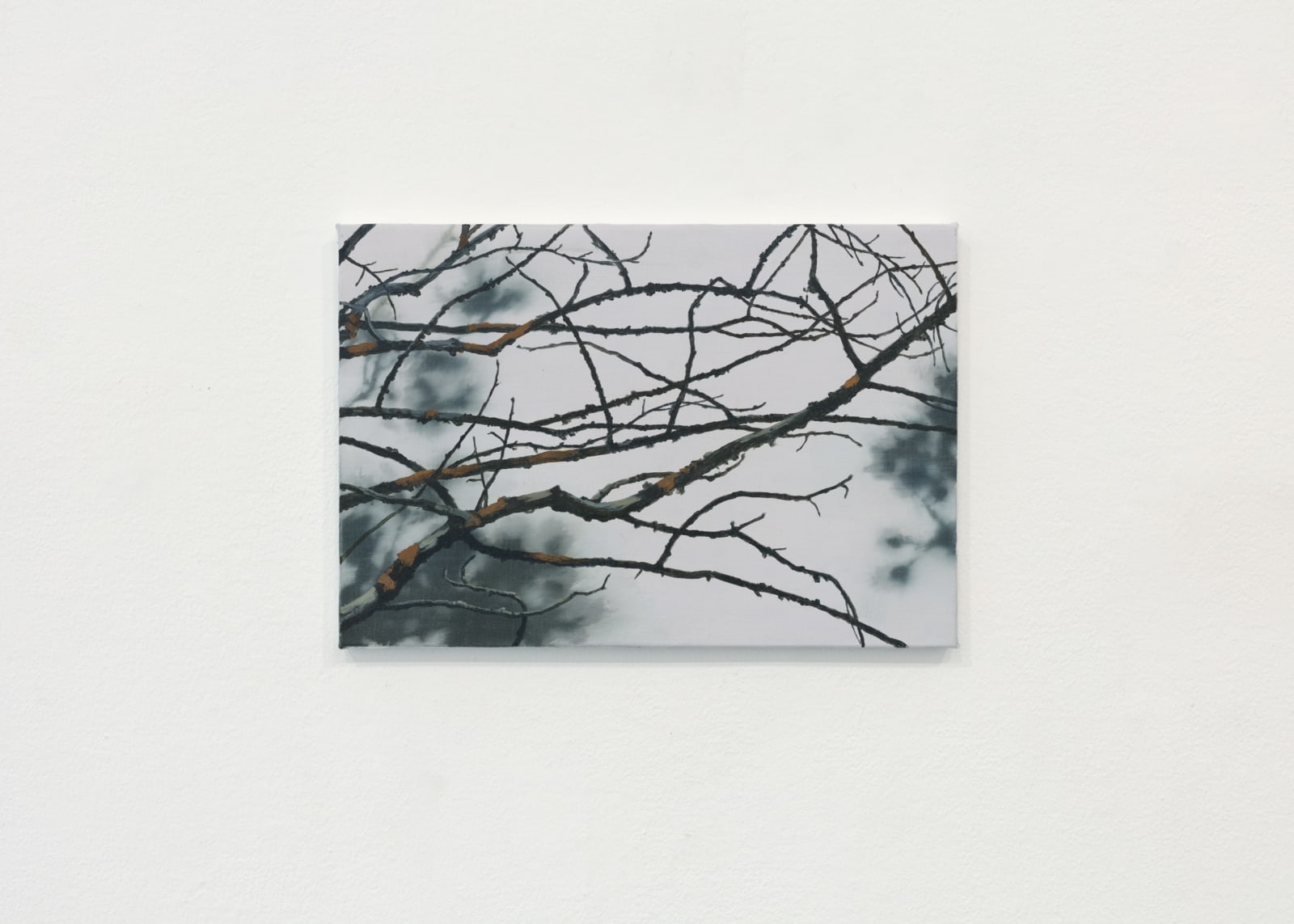 Tommy Hilding, Wattle, 2025