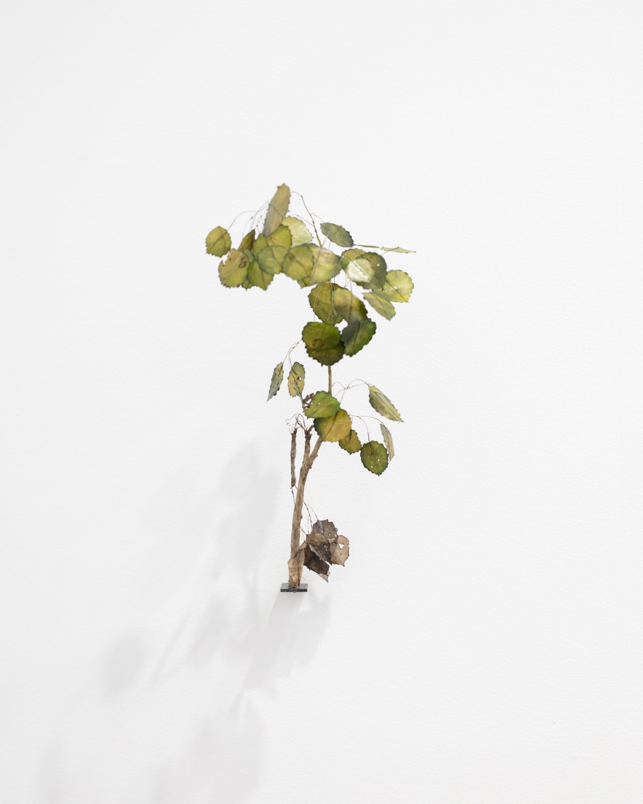Johanna Karlsson, Kvist IV / Twig IV, 2025