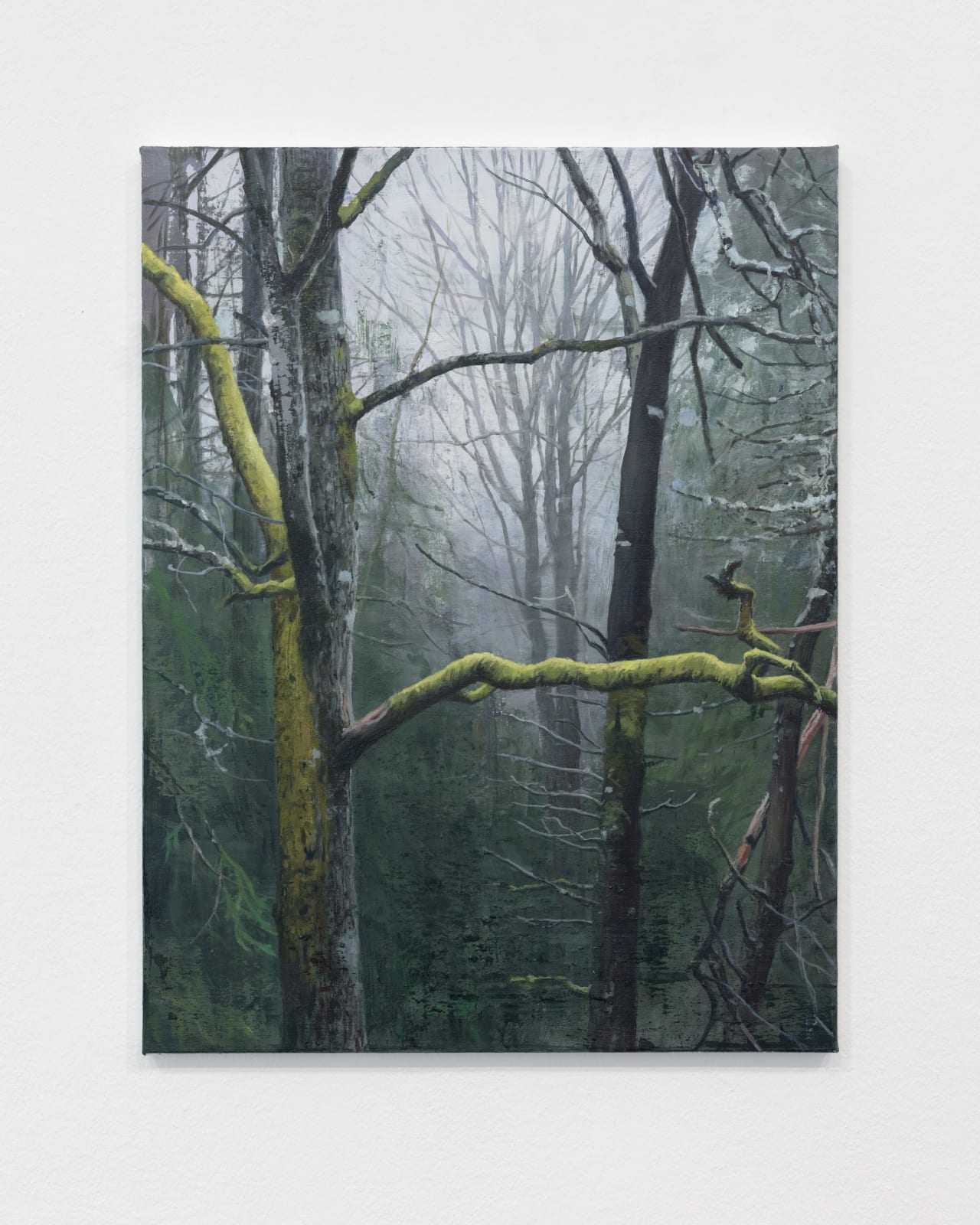Tommy Hilding, Branches and Trees, 2025