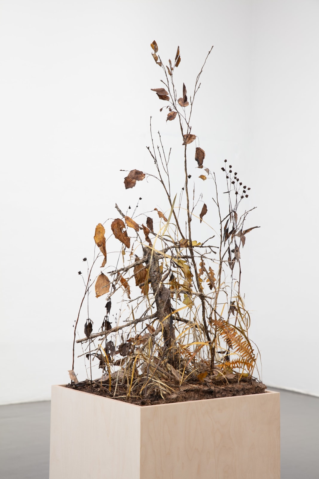 Johanna Karlsson, Snår II / Thicket II, 2025