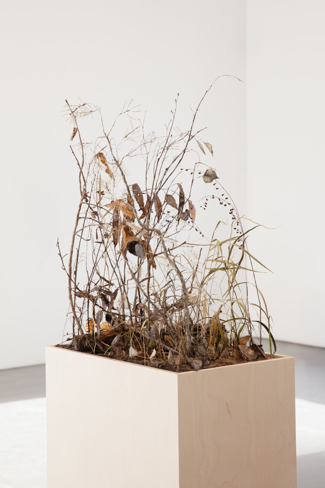 Johanna Karlsson, Snår I / Thicket I, 2025