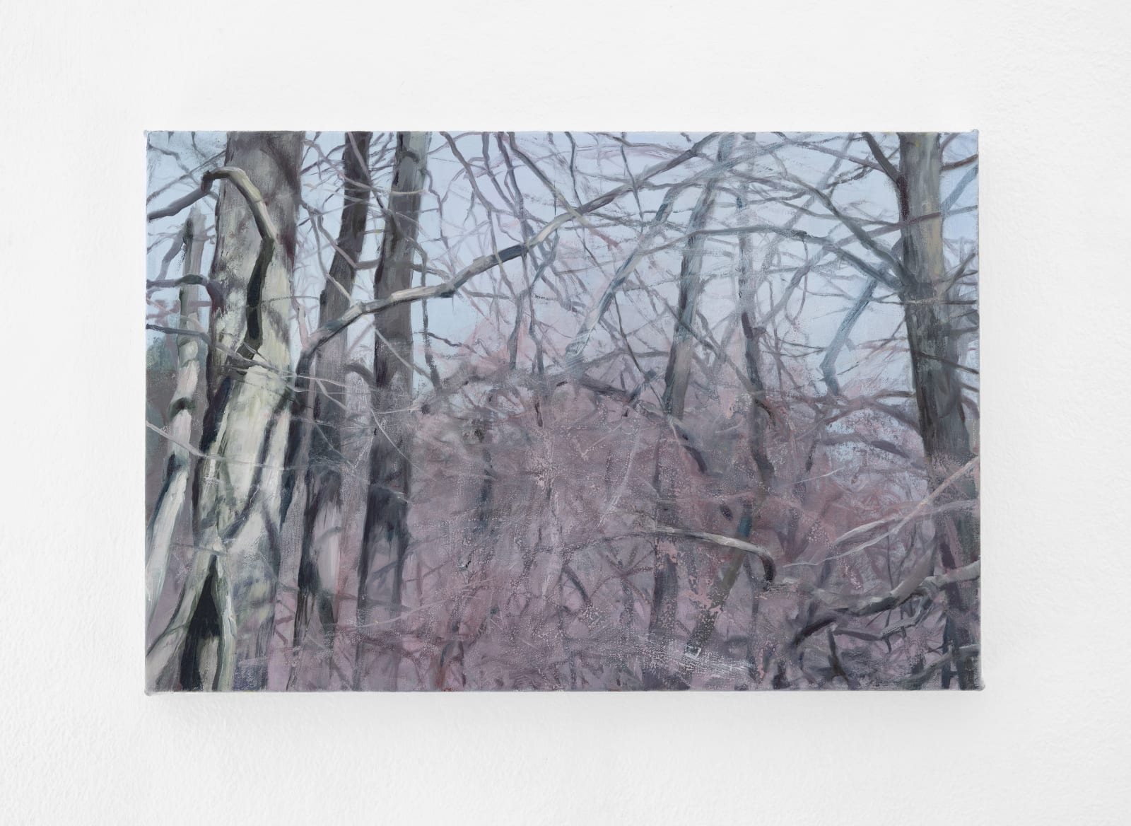Tommy Hilding, Borealis #4, 2021