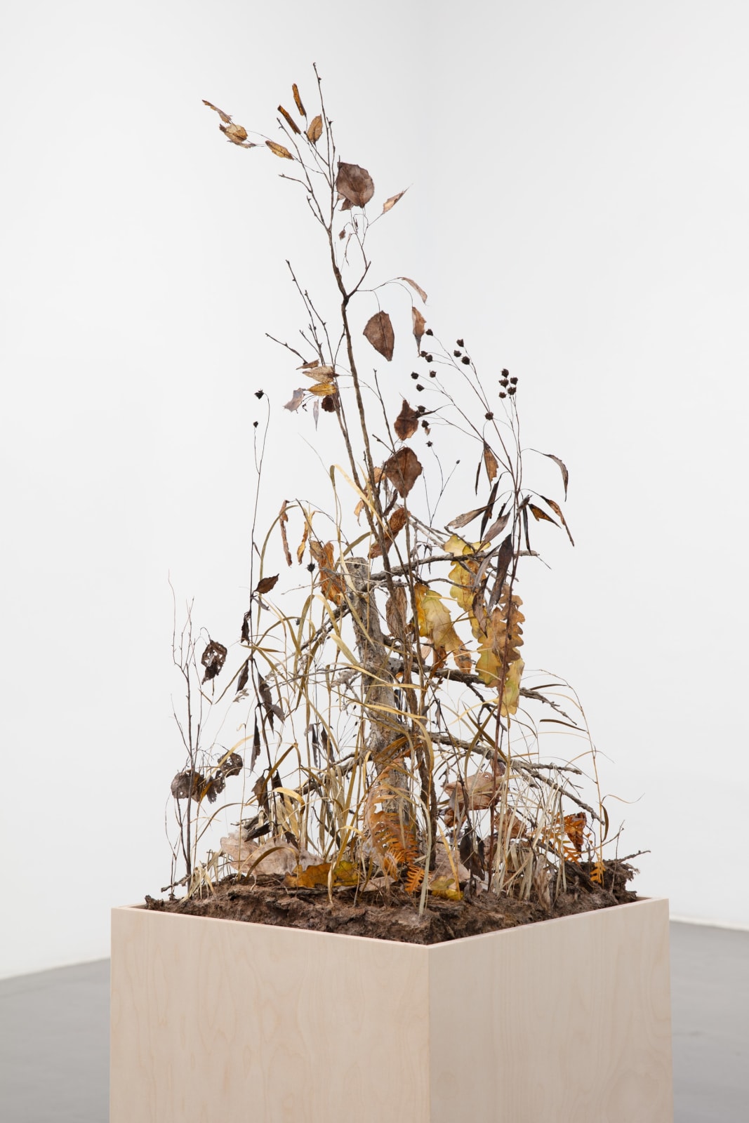 Johanna Karlsson, Snår II / Thicket II, 2025