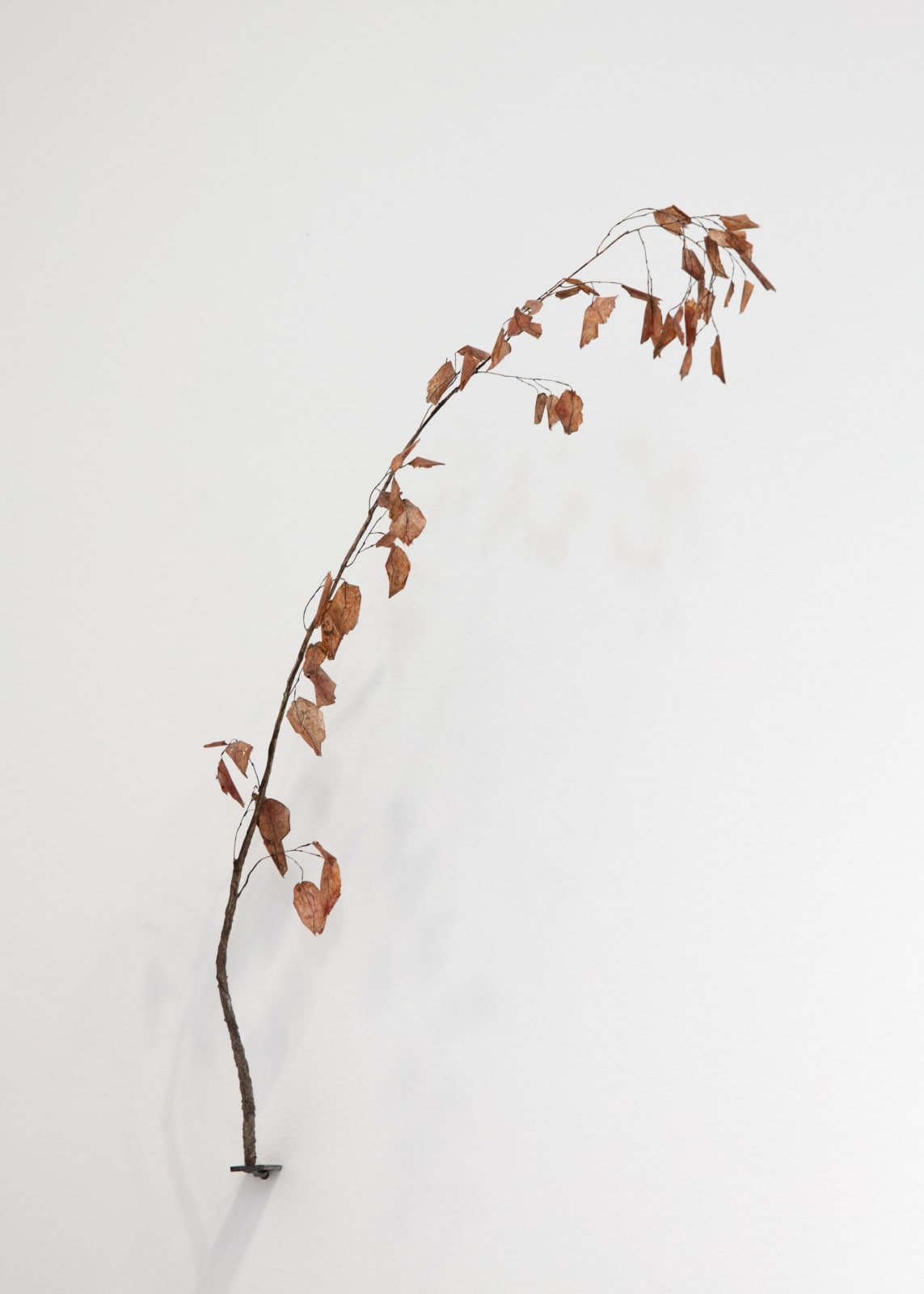 Johanna Karlsson, Kvist II / Twig II, 2025