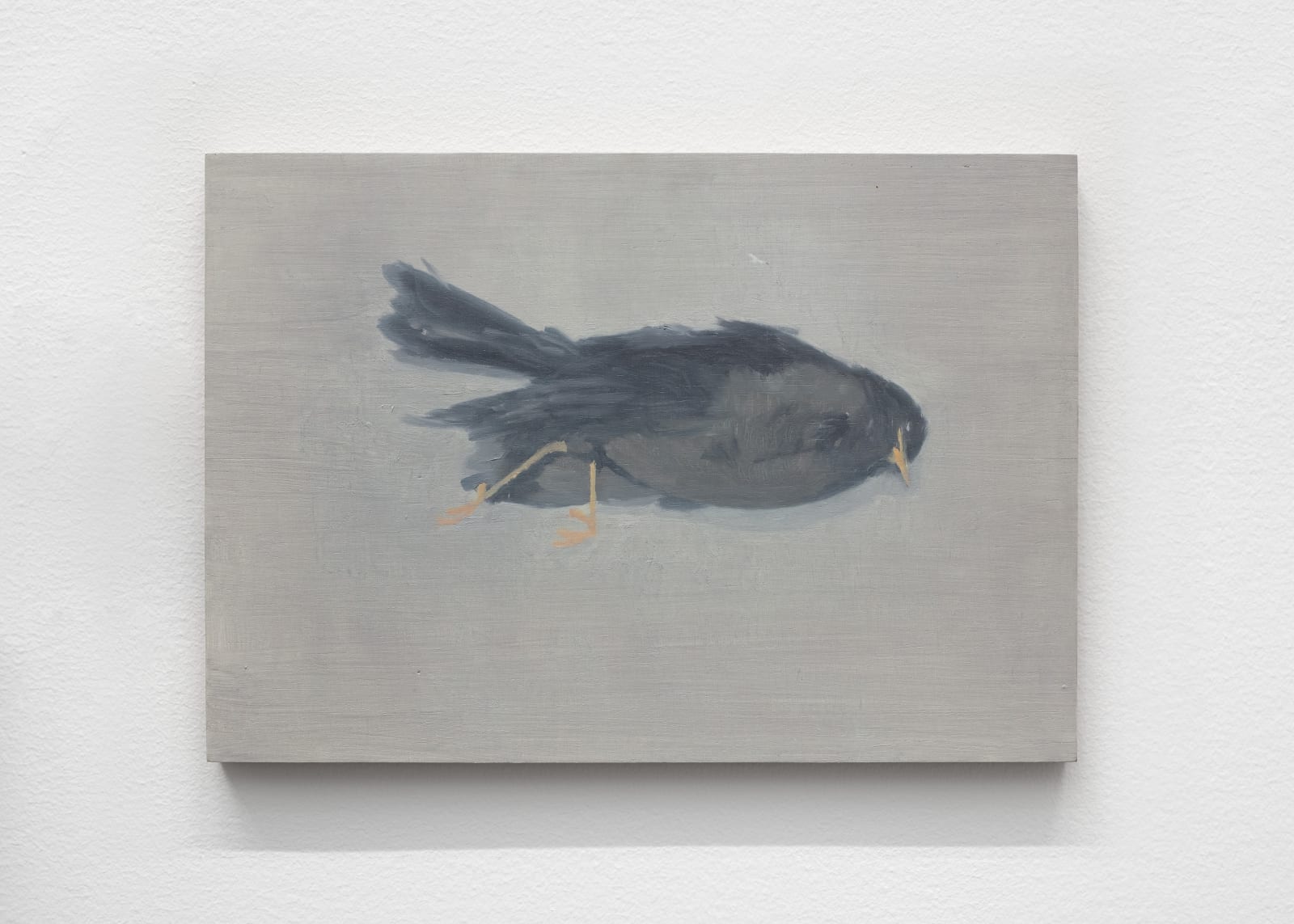 Alejandro Sintura, Deceased Bird, 2025