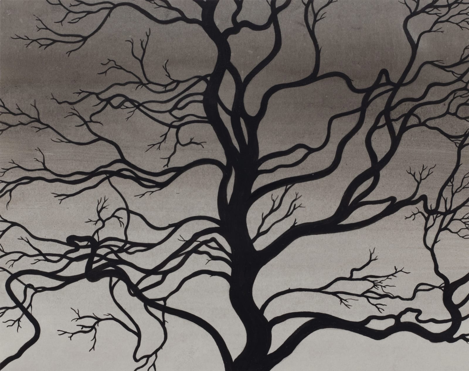 Carl Hammoud, Skeleton Dance, 2025