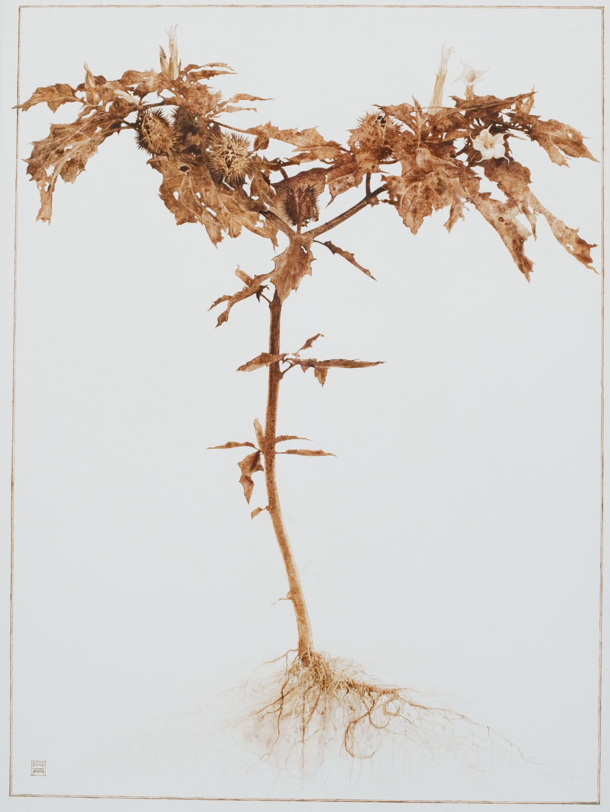 Roger Andersson, Slaves by Choice XII, 2012