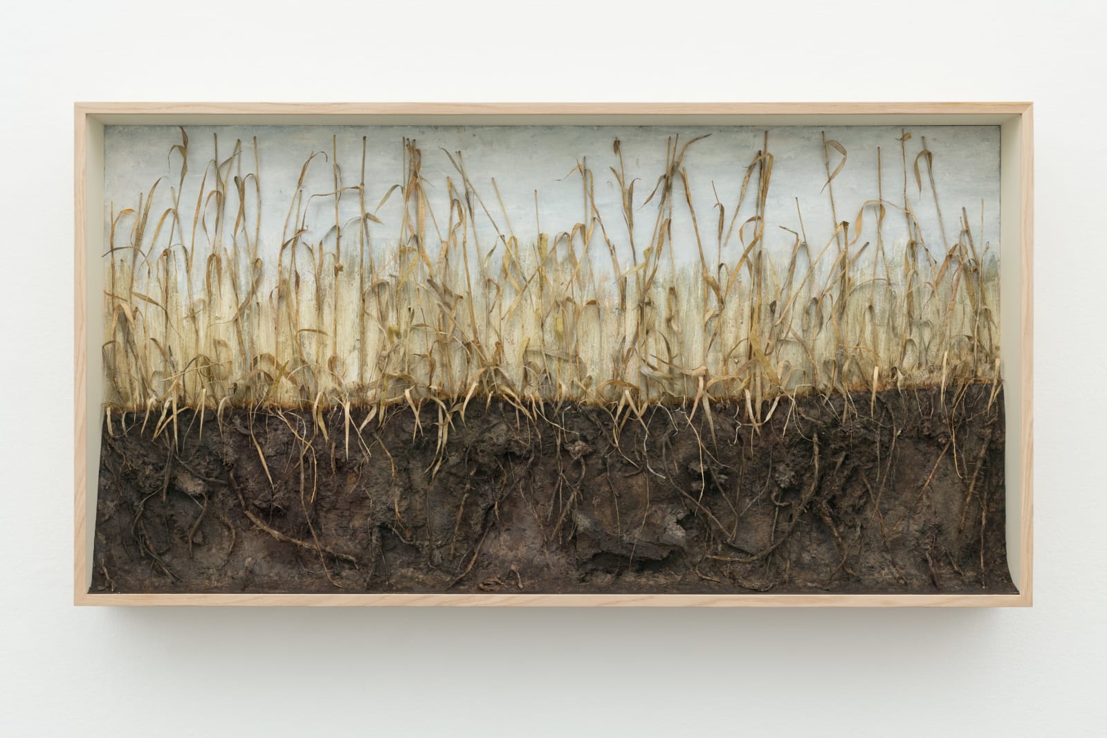 Johanna Karlsson, Passage X, 2025