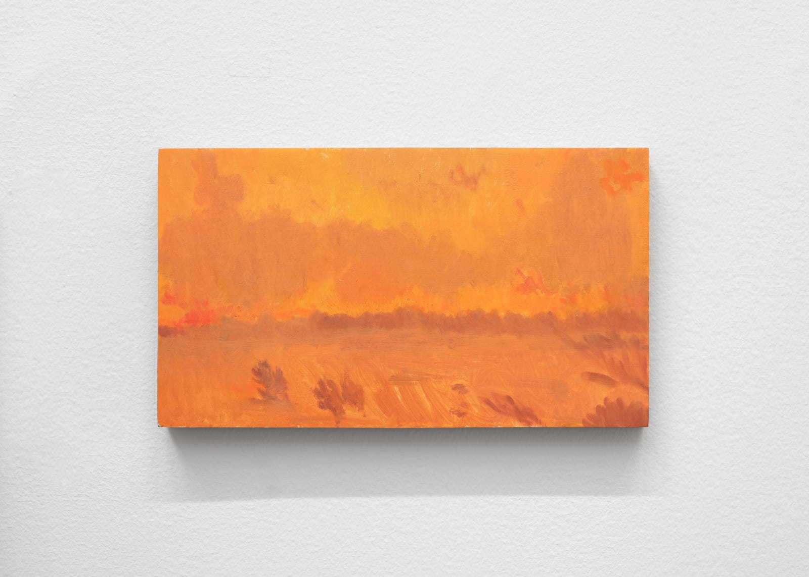 Alejandro Sintura, Incendio / Fire, 2024