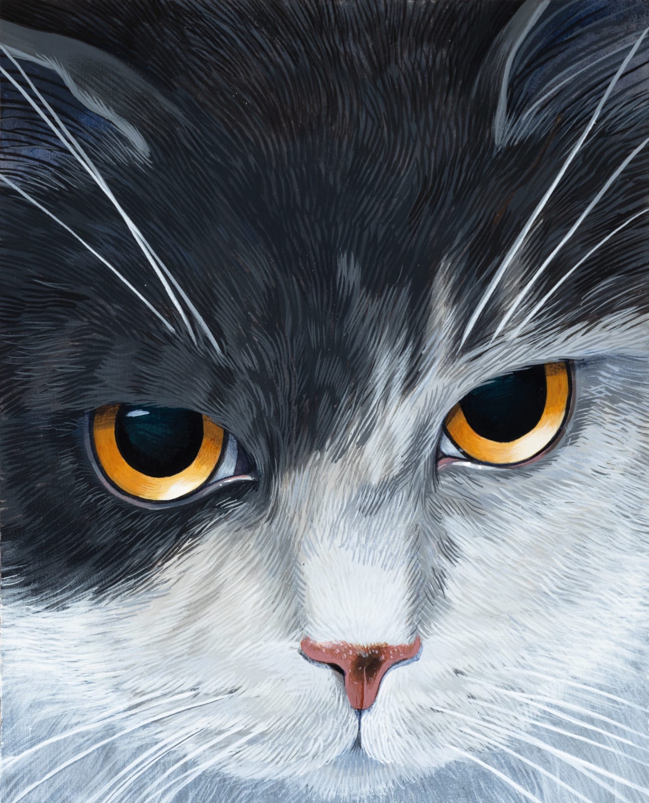 Sally J. Han, I am a Cat, 2023