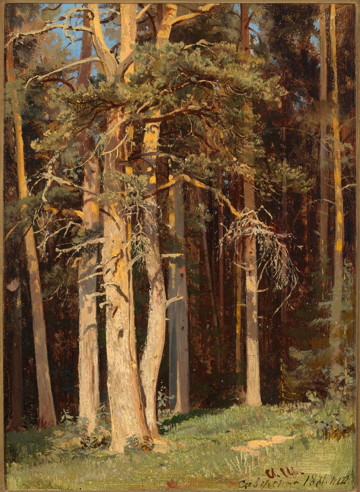Ivan Shishkin, SIVERSKAYA (EDGE OF THE FOREST), 1881