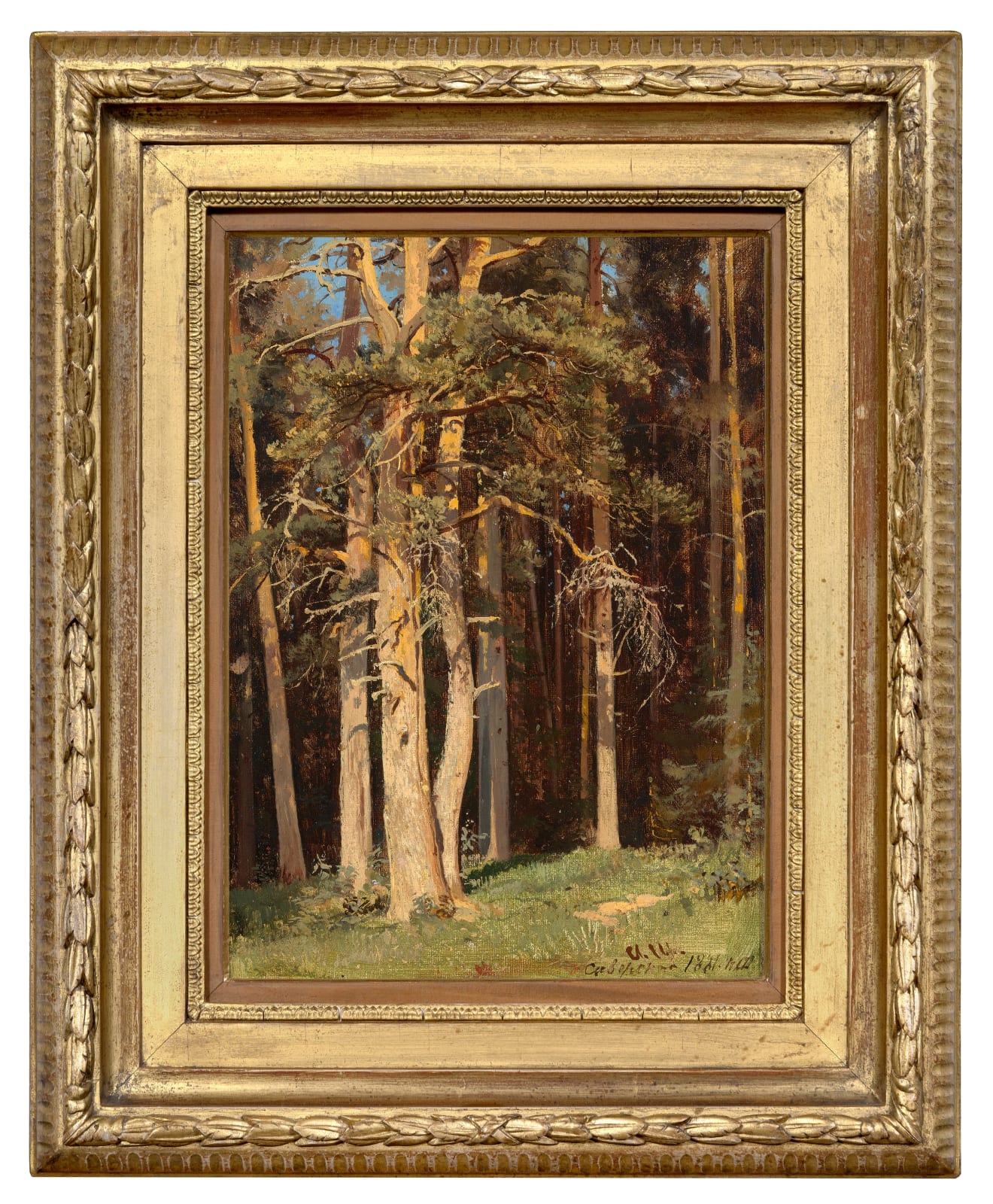 Ivan Shishkin, SIVERSKAYA (EDGE OF THE FOREST), 1881