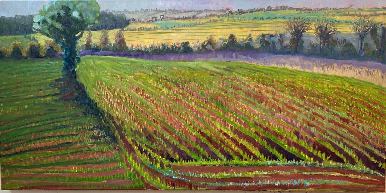 Louise Bourne, Violet Shadow Stripe, Norfolk, 2025