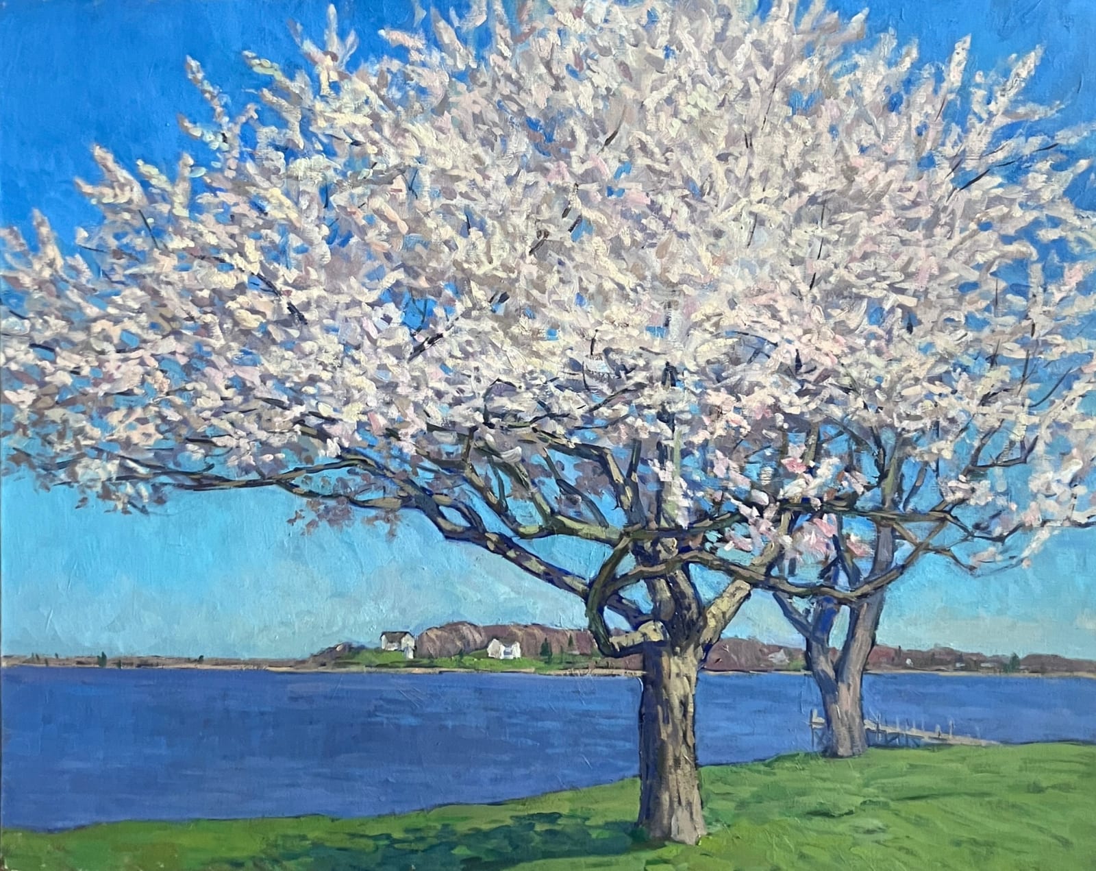 Viktor Butko, Spring Blossoms, 2025