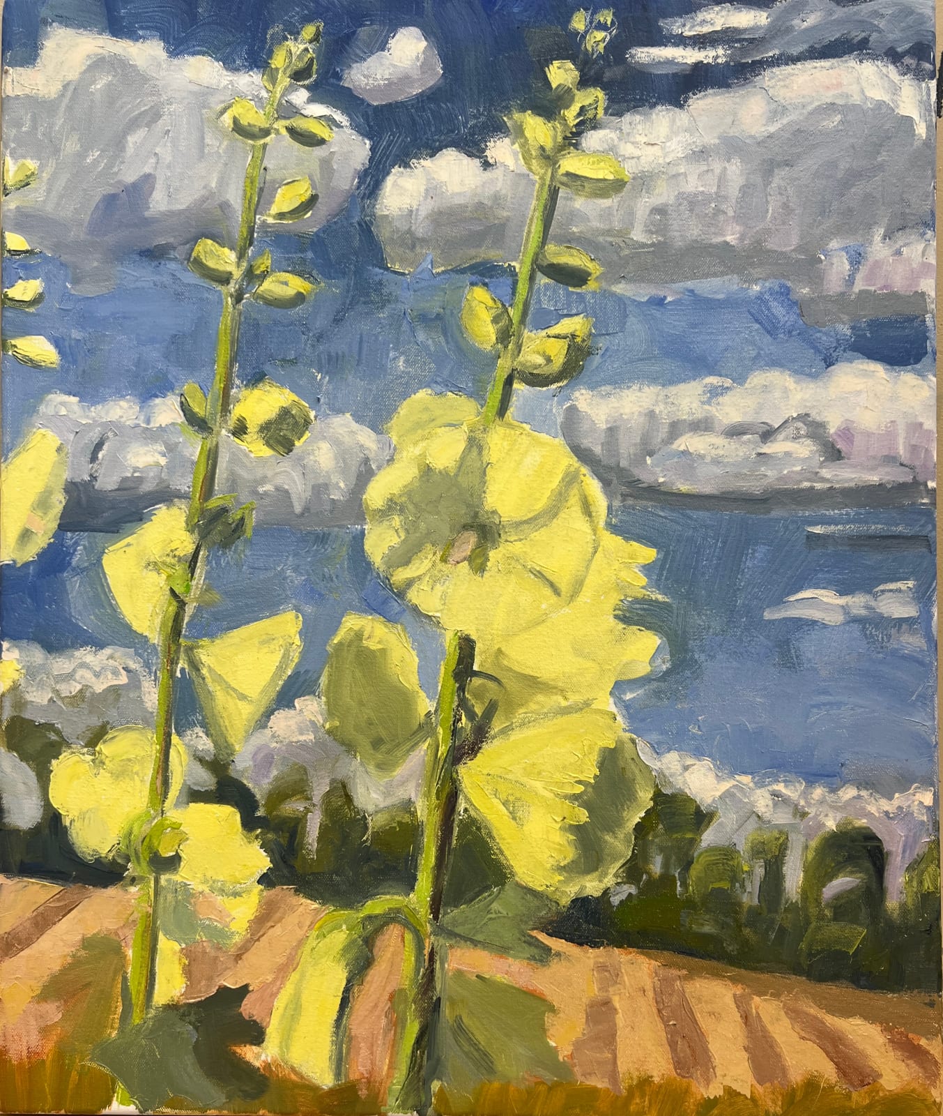 Louise Bourne, Yellow Hollyhocks, July!, 2025
