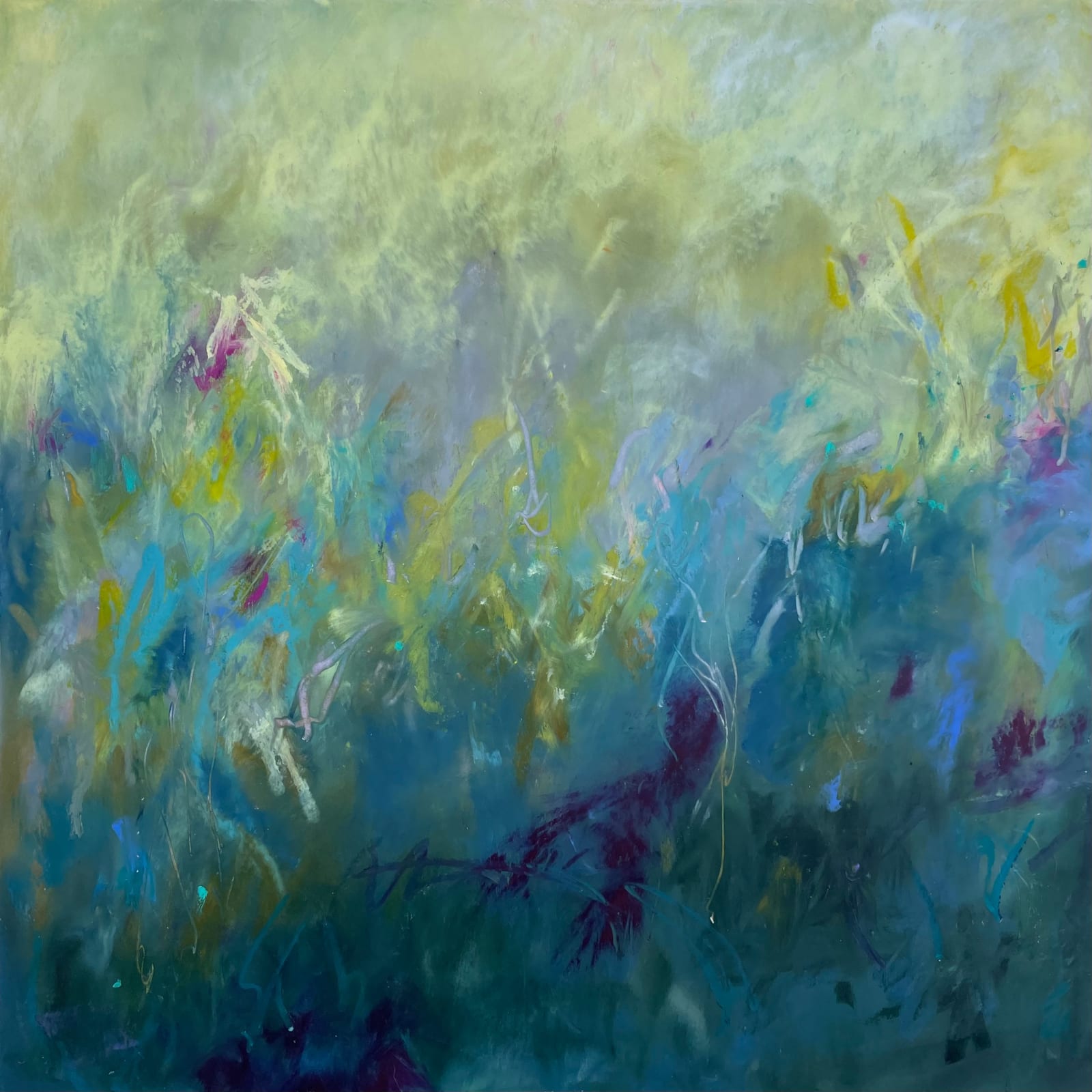 Amy Bernhardt, Marsh Lanterns, 2024