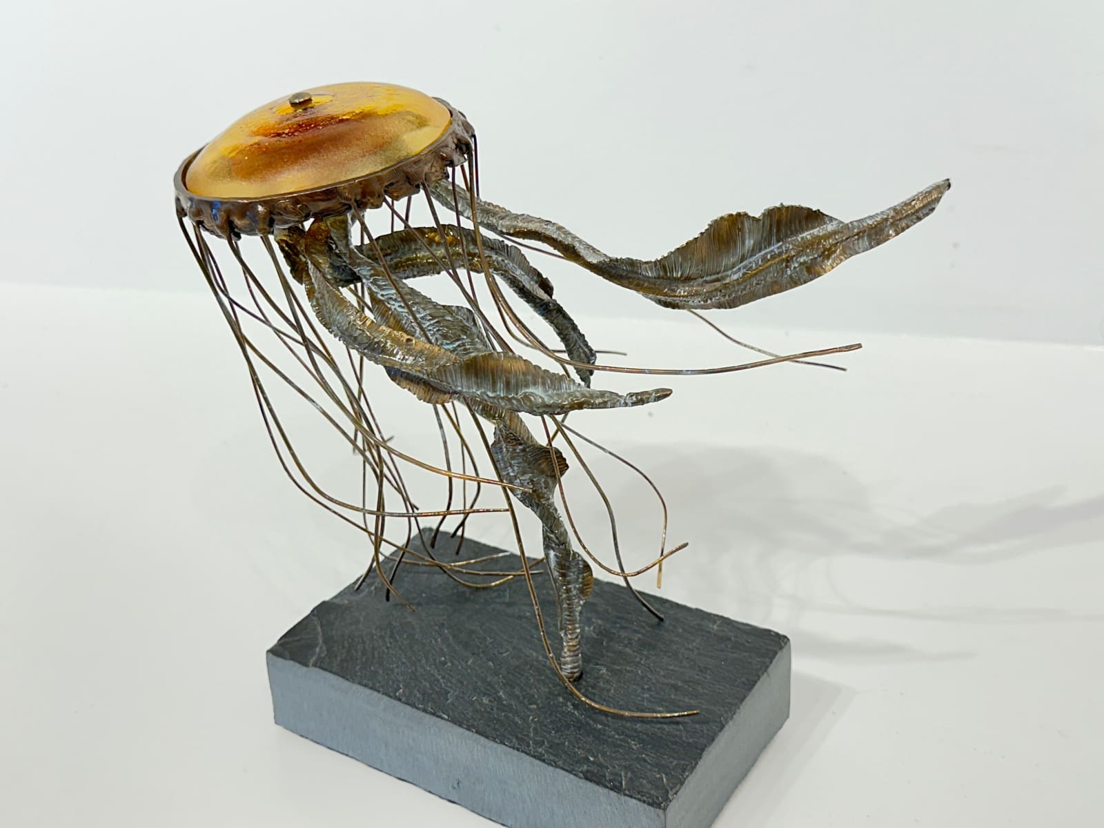 Basha Olson, Belle the Scyphozoa, 2023