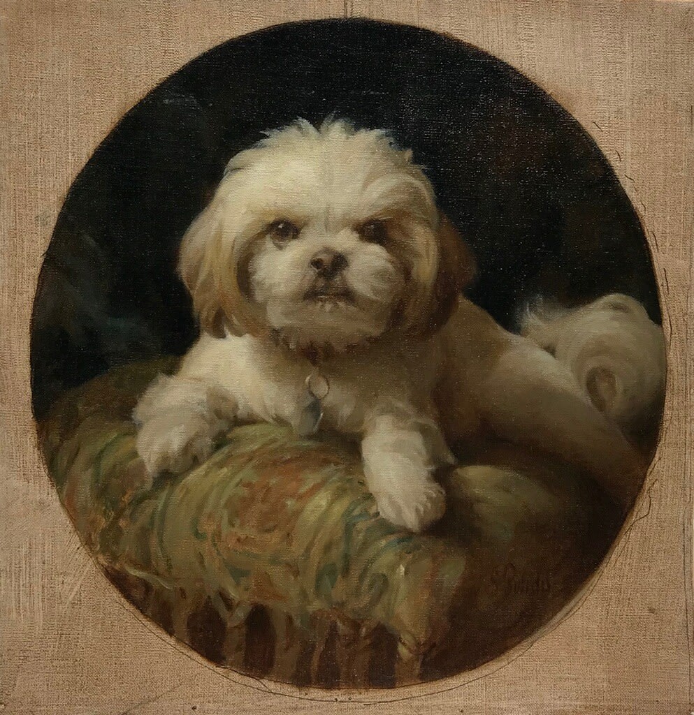 Shirley Pulido, Shirley's Dog, 2024