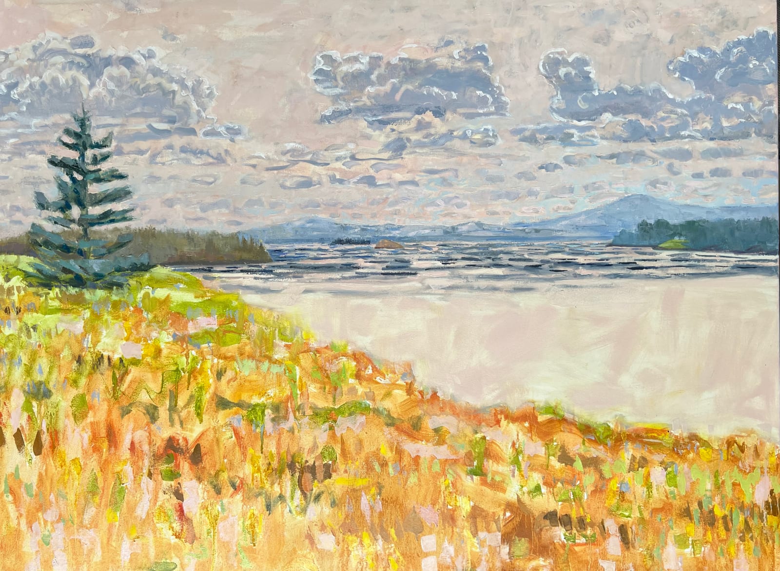 Louise Bourne, Island Field , 2025