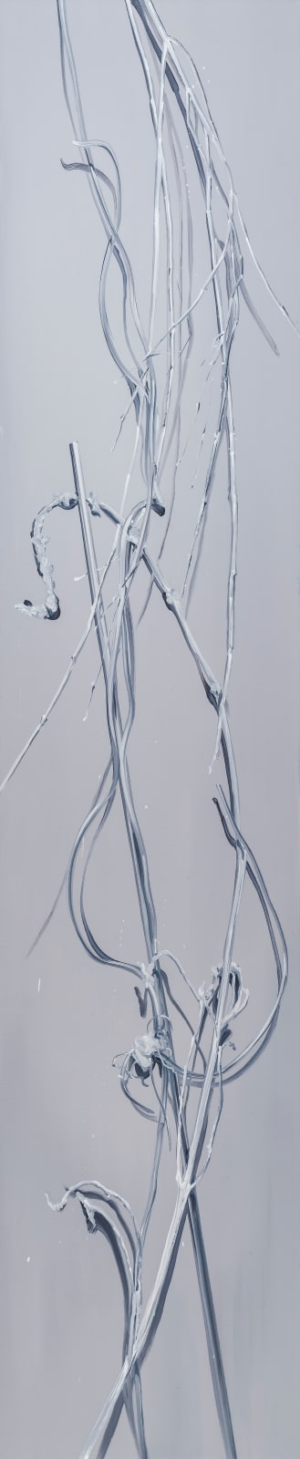 Rho Eunjoo, Silver Plant 1, 2, 3, 4, 2021