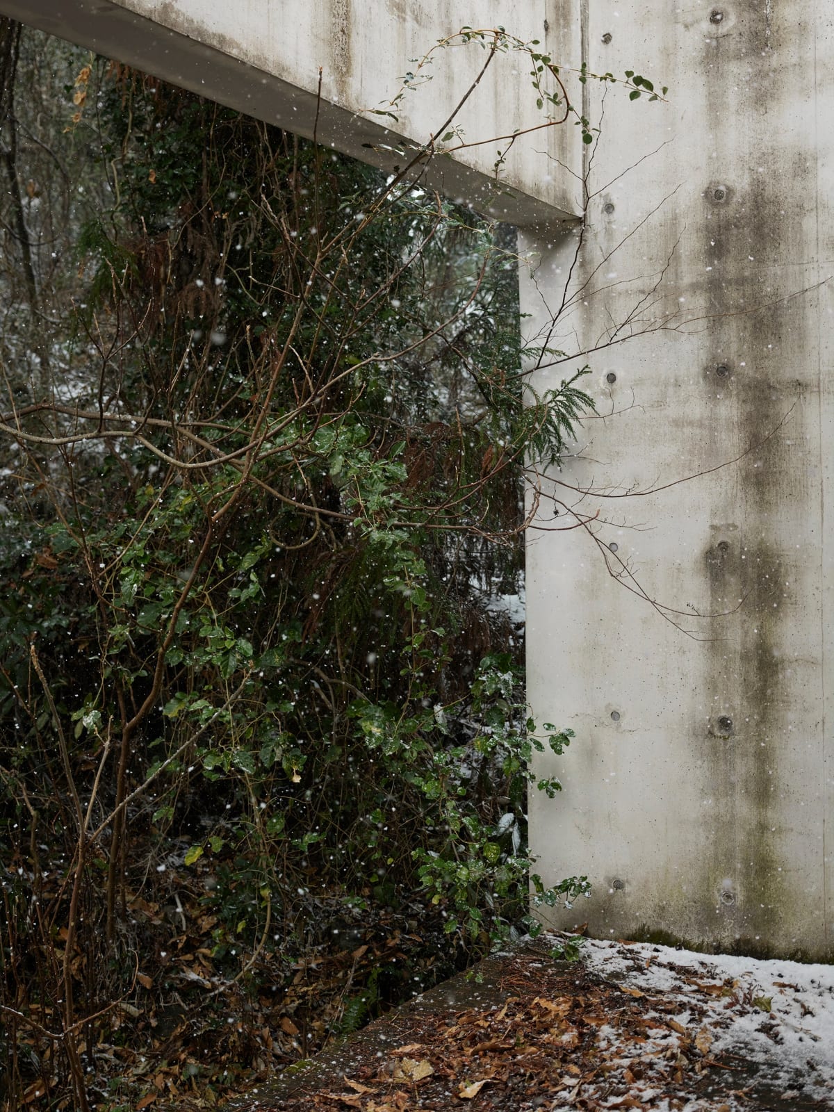 Heeseung Chung, Untitled from the series Faraway, so close, 2025