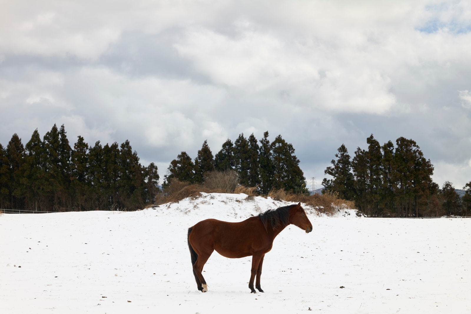 Heeseung Chung, Untitled from the series, Faraway, so close, 2025