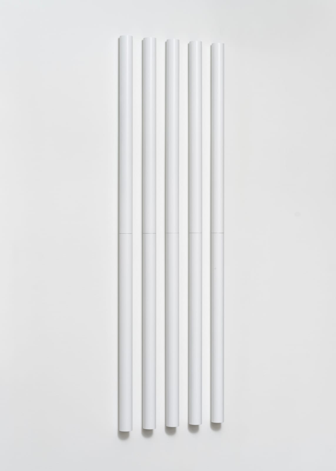 Liam Gillick, Developed Raise , 2021