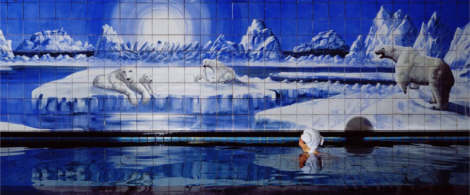 Jaye Rhee, Polar Bear 3, 2007