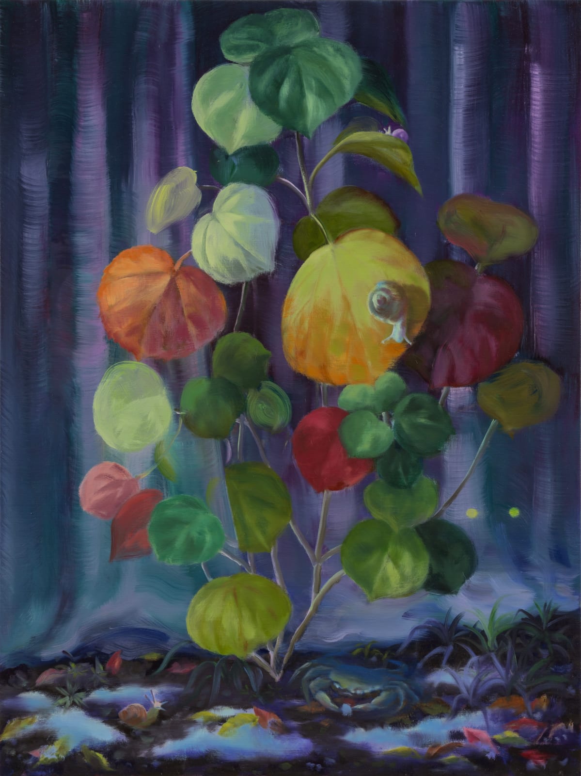 Minyoung Choi, Midnight Plant, 2025