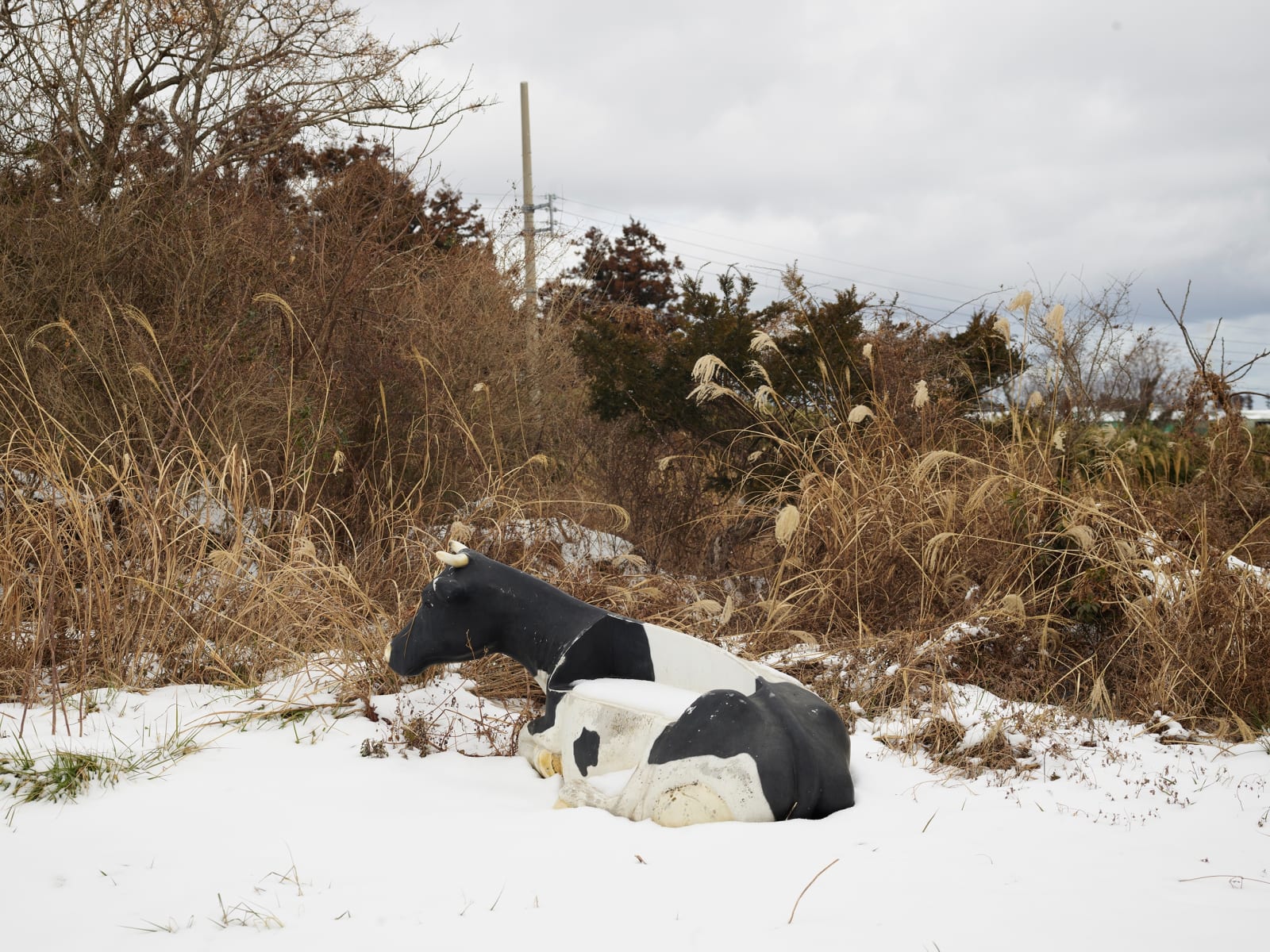 Heeseung Chung, Untitled from the series Faraway, so close, 2025
