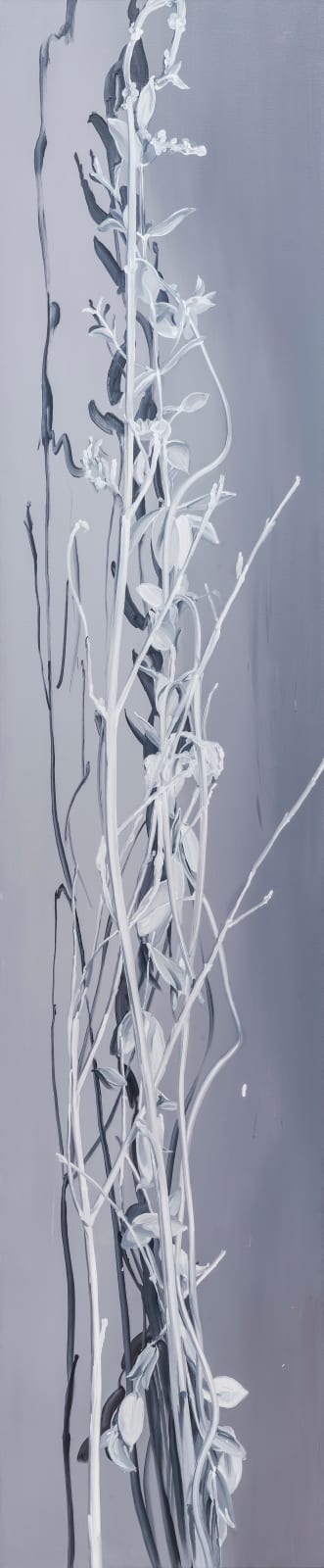 Rho Eunjoo, Silver Plant 1, 2, 3, 4, 2021