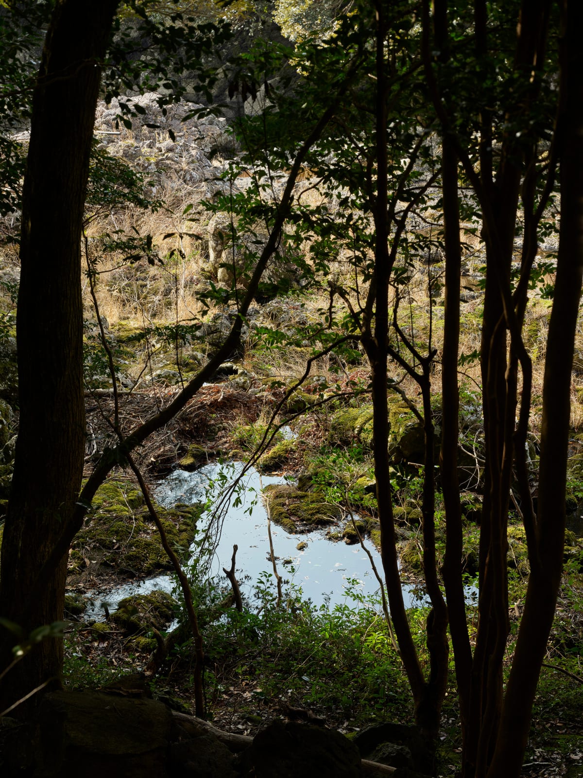 Heeseung Chung, Untitled from the series, Faraway, so close, 2025