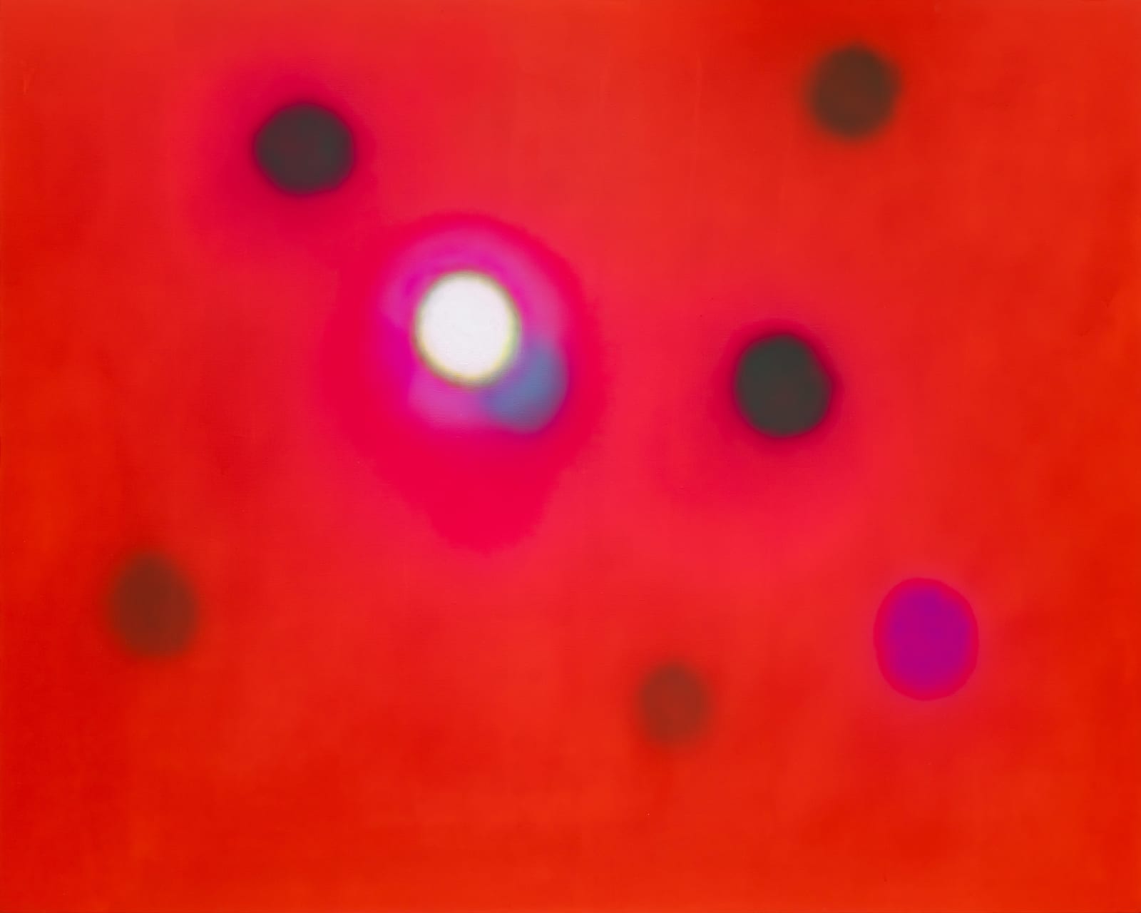 Jimok Choi, The Memory of the Eyes, 2023