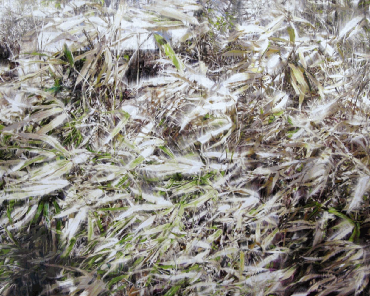 Yoon Suk One, Dry Plant-18022, 2018