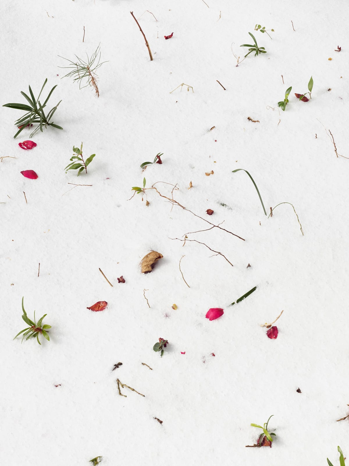 Heeseung Chung, Untitled from the series, Faraway, so close , 2025