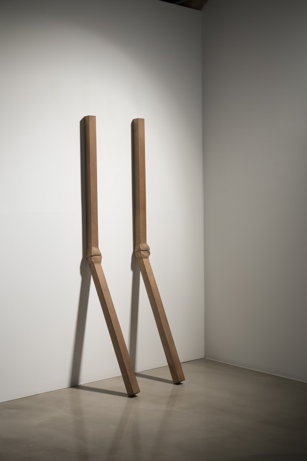 Park Suk Won, Mutation-Pair 7918, 1978