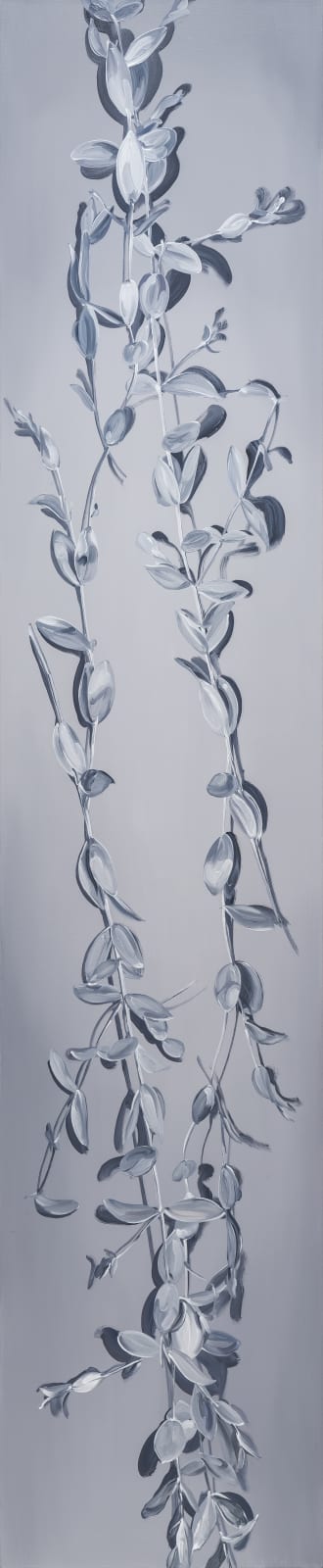 Rho Eunjoo, Silver Plant 1, 2, 3, 4, 2021