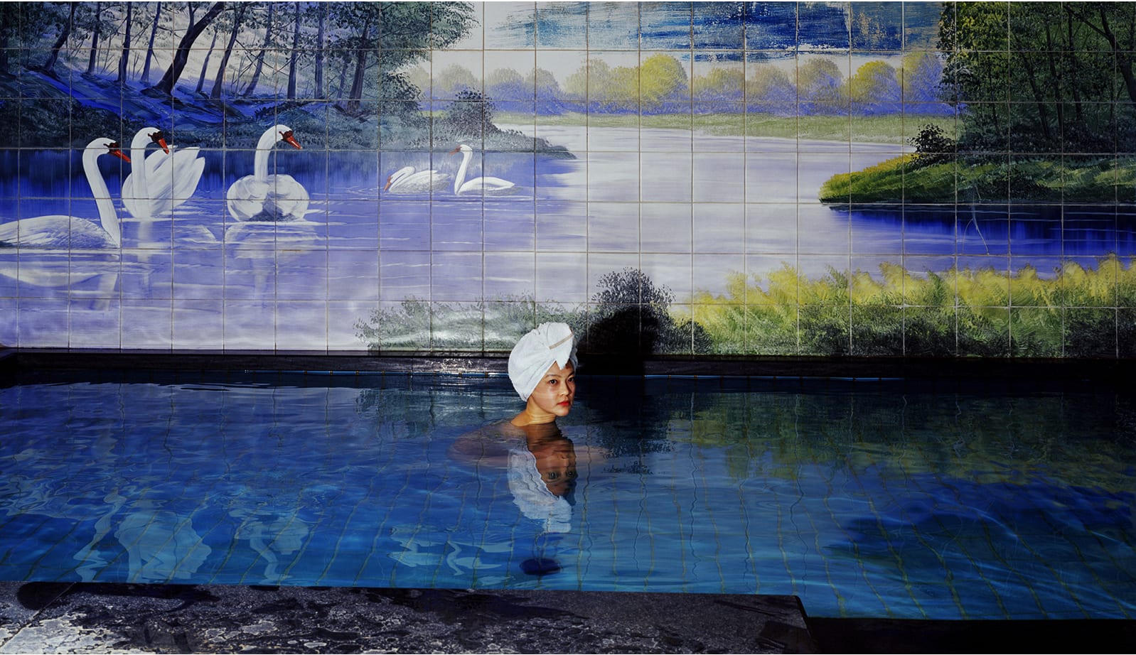 Jaye Rhee, Swan 1, 2007