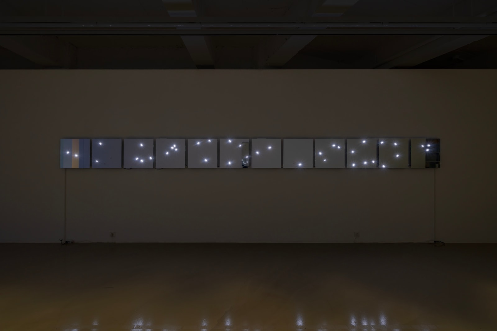 Tatsuo Miyajima, Changing Time with Changing Self - Flower, 2014