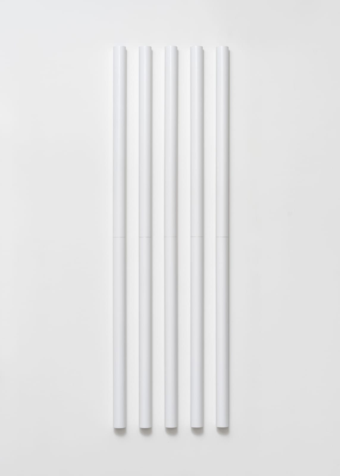 Liam Gillick, Developed Raise , 2021